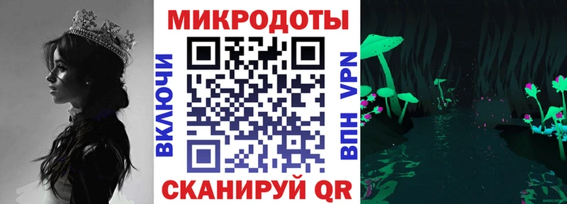 Псилоцибиновые грибы Psilocybe  нарко площадка официальный сайт  Новороссийск 