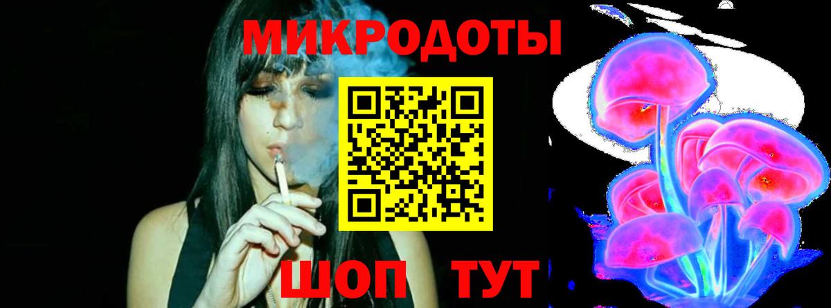 Галлюциногенные грибы Psilocybe  Вход с VPN  Новороссийск  Галлюциногенные грибы мухоморы 