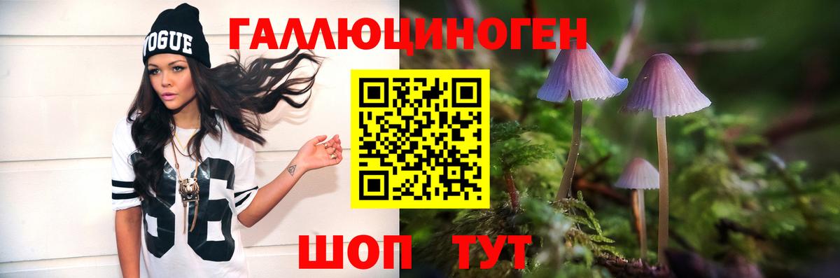 Псилоцибиновые грибы мицелий Новороссийск